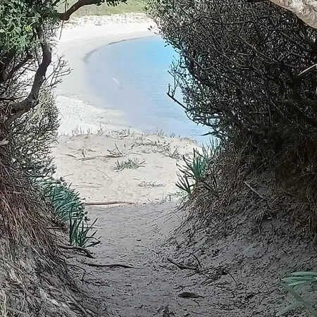 Casa Vacanza Apartment Porto Rotondo